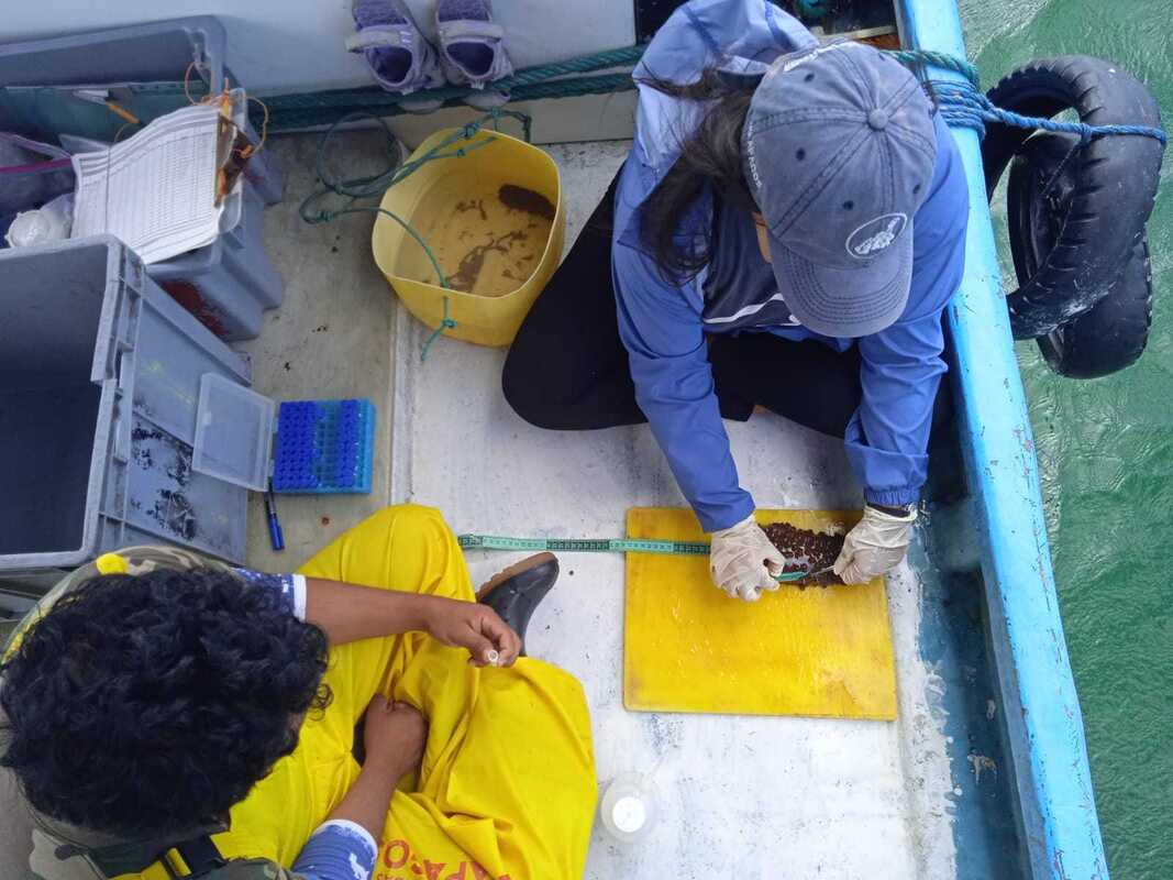 Jaime brings sea cucumber samples from the Galápagos